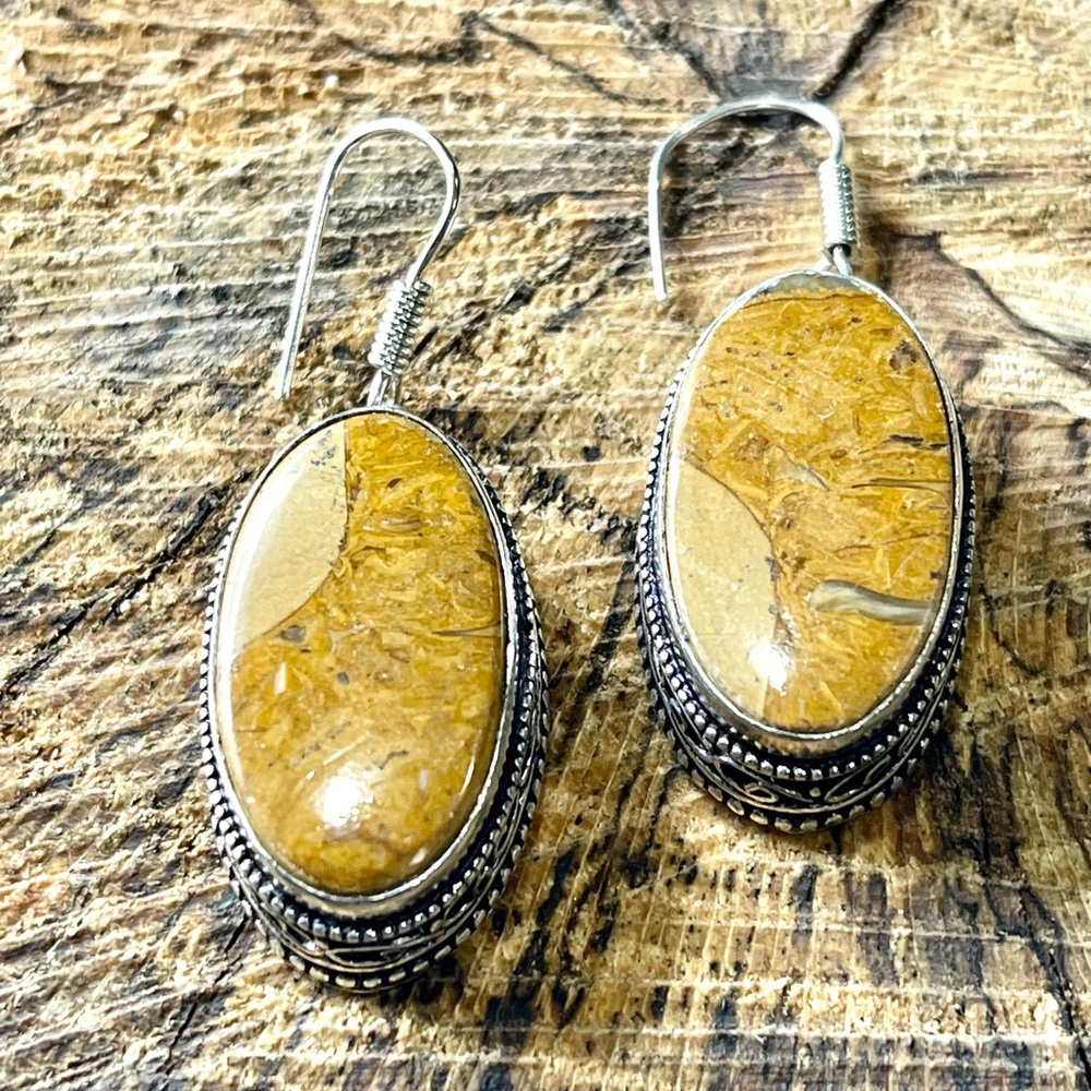 Picture Jasper Earrings 2”